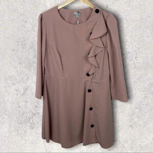 NWT ASOS Blush Pink Ruffle Front Button Down Dress Size 12 New W Tags Shift Boho